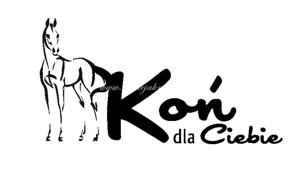 logo kondlaciebie