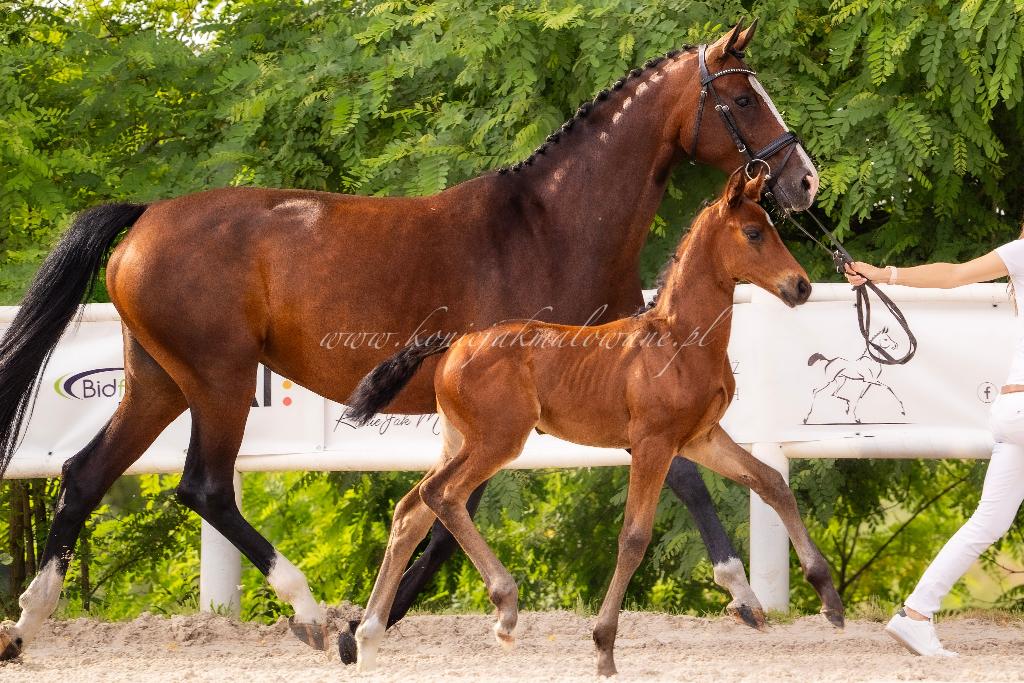 Samedi Jak Malowana Samedi_z_Fleur