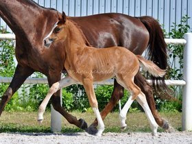 2021.06.21 Miesiąc Bonjour Cherie Jak Malowanej