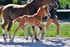 2025.04.30 Miesiąc Sacre Coeur Jak Malowanej