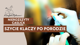 1.05.25 Szycie klaczy po porodzie