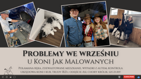 23.10.24 Problemy września - złamana ręka, zdewastowane mieszkanie, wypadki z autem, kontrole urzędowe, IRZ