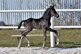 2022.03.25 2 tygodnie Totally Perfect