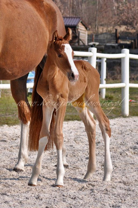 2025.03.30 Pierwszy spacer Sacre Coeur Jak Malowanej