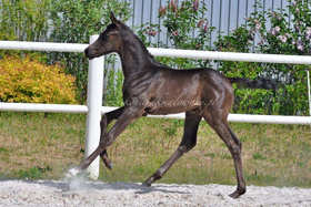 2023.06.03 Miesiąc Damaris Jak Malowanej