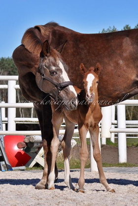 2025.04.07 Pierwszy spacer Olfabio Jak Malowanego