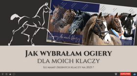 3.01.2025 Jak dobrałam ogiery do moich klaczy? Ile mamy źrebnych?