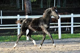 2020.04.19 6cio miesięczny rocznik 2019