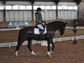 2011.02.11 - 13 - HZR w Sopocie z Te Amo