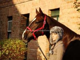 2012.01.01 - Nowe domy 2011