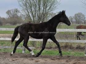 2011.04.14 - Rok Helatio E