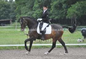 2013.07.04 Otwarty czworobok La Corrado