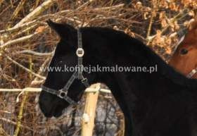 2012.12.24 Wigilijny śnieg