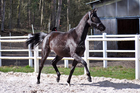 2025.04.12 2 lata Damaris Jak Malowanej