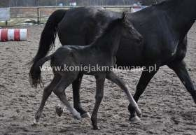 2013.04.09 Pierwszy spacer Qutaterimo