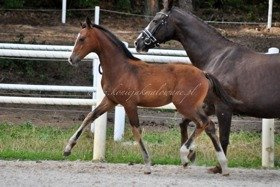 2019.09.11 3 miesiące Samedi Jak Malowanej