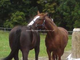 2010.09.12 - Ostatnie podrygi lata