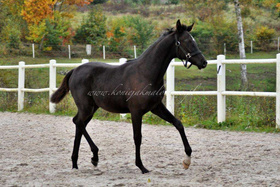 2023.10.27 6 miesięcy Damaris Jak Malowanej