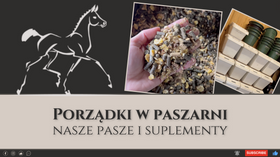 14.02.24 Porządki w paszarni, nasze pasze i suplementy