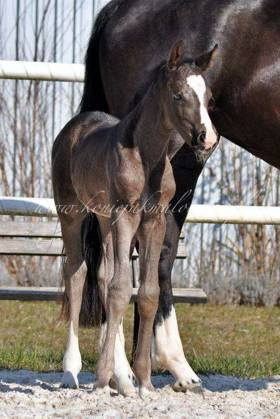 2022.03.23 Pierwsze spacery Sweetheart Jak Malowanej