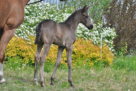 2023.05.30 Miesiąc Tellur Jak Malowanego