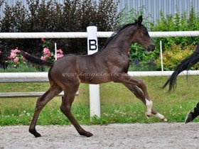 2021.07.10 Miesiąc Ziona Jak Malowanego