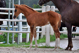 2024.05.29 Miesiąc Quintllion Jak Malowany