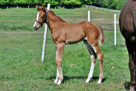 2025.05.23 Tydzień Bonjour Soleil Jak Malowanej