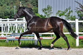 2023.08.25 2,5 roku Joy of ife