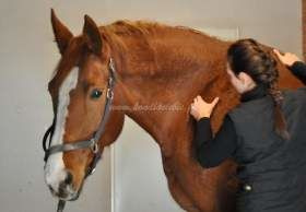 2012.01.13 - Masaż Grande