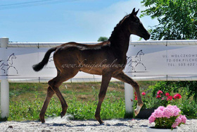 2023.08.08 3 miesiące Damaris Jak Malowanej