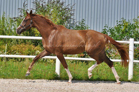 2023.08.23 2 lata Bonjour Cherie Jak Malowanej