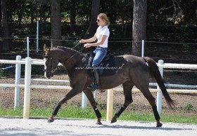 2018.06.10 Die Fee pod siodłem