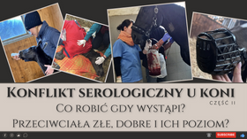 7.04.24 Konflikt serologiczny - co robić gdy wystąpi? Poziom przeciwciał? Część 2