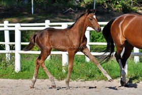 2023.09.13 3 miesiące Full of Charm Jak Malowanego