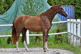 Bonjour Cherie Jak Malowana