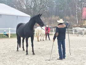 2019.01.12 Szkolenie L1 JNBT w naszej stajni