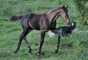 2012.09.27 Przyjaciółki z linii "Sandro"