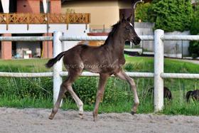 2025.06.09 Miesiąc Everlight Jak Malowanego