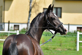 2021.09.28 Rok Next to me Jak Malowanej