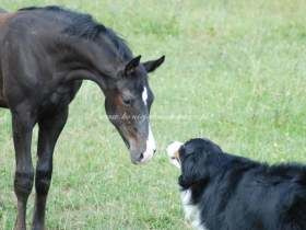 2010.07.20 - Upalne wariacje