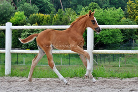 2025.06.27 Miesiąc Bonjour Soleil Jak Malowanej