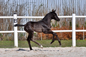 2025.04.15 Miesiąc Romantica Jak Malowana