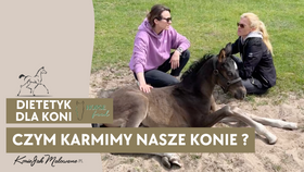 4.06.25 Czym karmimy nasze konie – dietetyk dla koni z Horse Feed