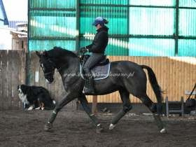 2011.02.04 - 6 - Konsultacje Te Amo z R. Dysarzem