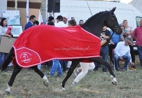 2018.09.8-9 Wystawa San Sity w Barzkowicach