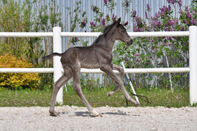 2025.05.07 Pierwszy spacer Everlight Jak Malowanego