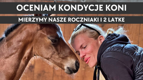 7.09.25 Oceniam kondycje koni, mierzyny roczniaki i 2 latke