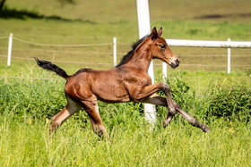 2025.06.18 Pierwszy spacer Fleur Jak Malowanej