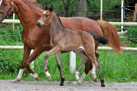 2024.06.07 Miesiąc Escalinero Jak Malowanego
